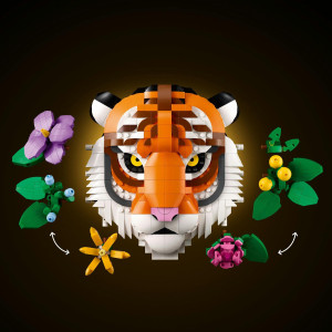 Kolekcia zvierat – Tiger