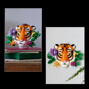 Kolekcia zvierat – Tiger