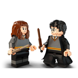 Harry Potter a Hermiona Grangerová