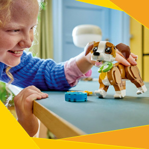 Roztomilé zvieratká: Hravé šteniatko