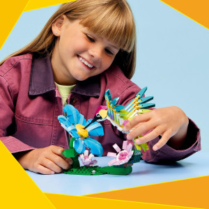 Divoké zvieratá: Farebný kolibrík